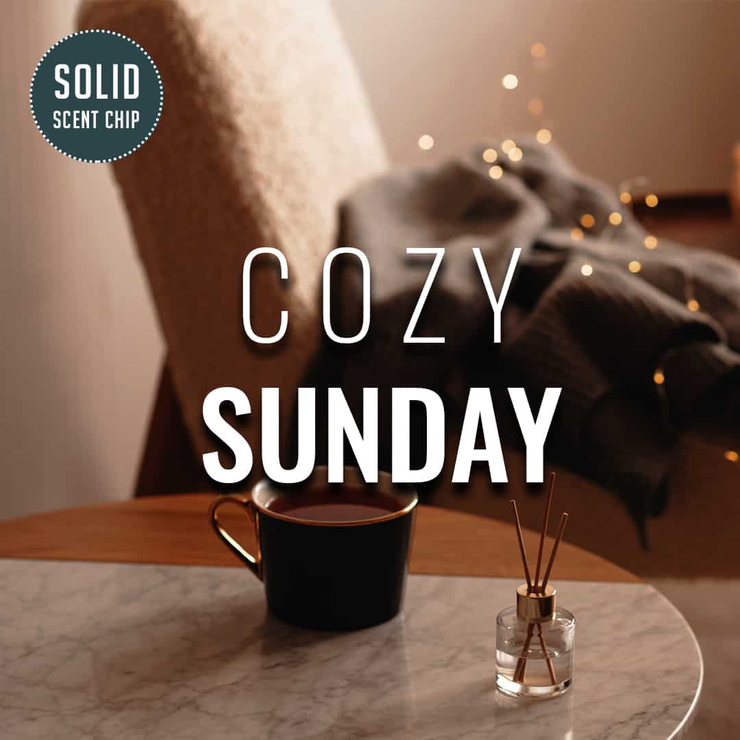 FC Cozy Sunday - Solid.jpg__PID:ee37fc6a-571e-42a3-b242-445ec7cf40eb