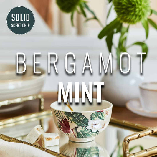 Bergamot Mint Solid Scent Chip