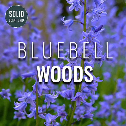 Bluebell Woods Solid Scent Chip