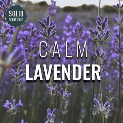 Calm Lavender Solid Scent Chip