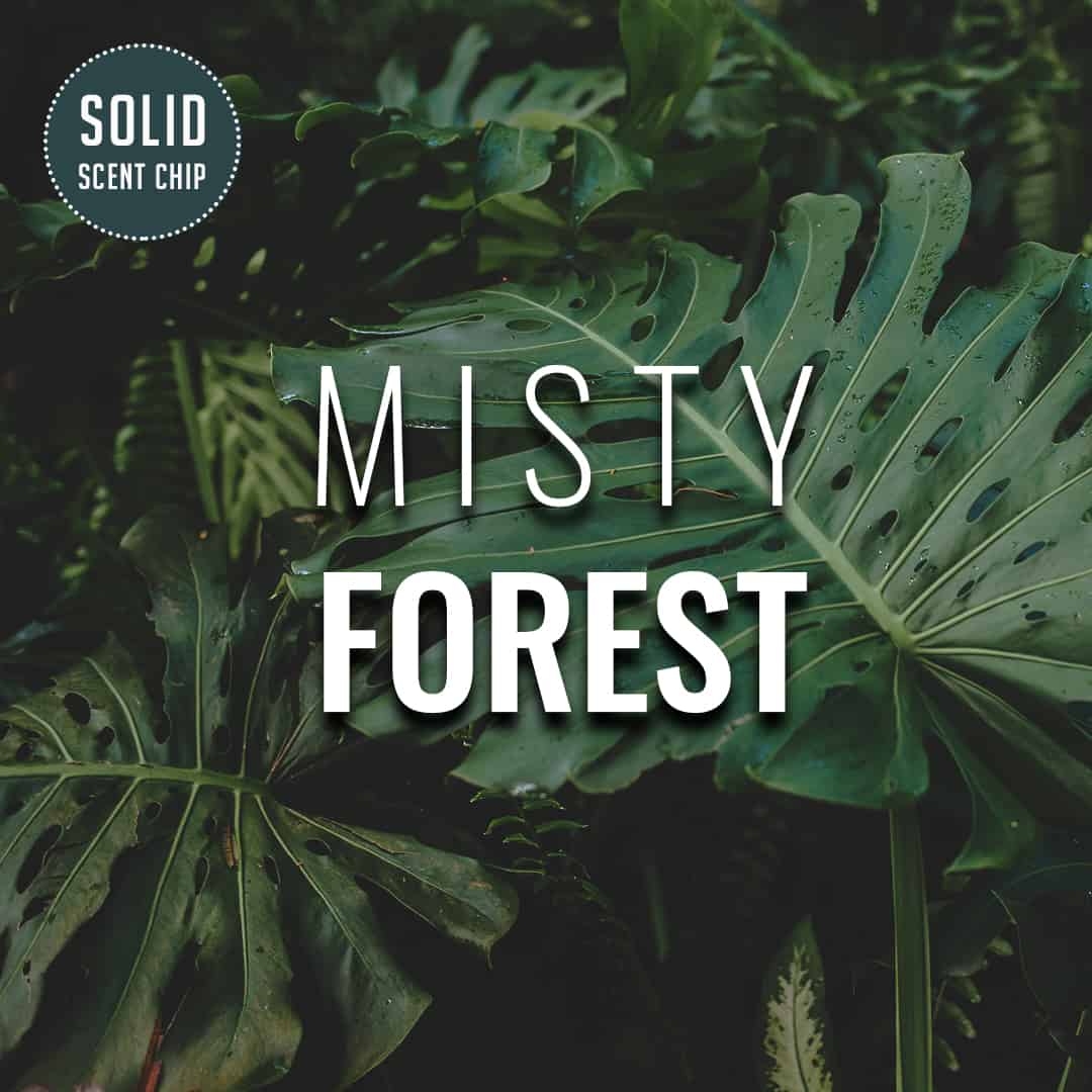 Misty Forest Solid Scent Chip