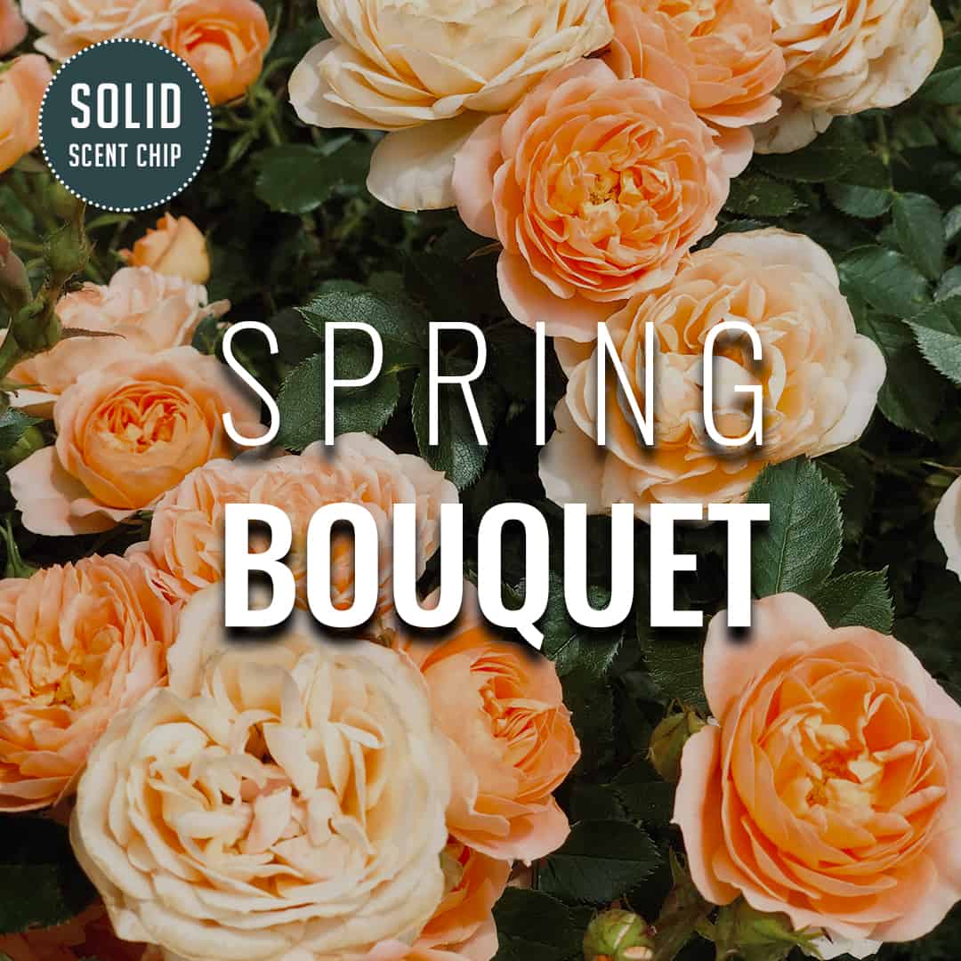 Spring Bouquet Solid Scent Chip